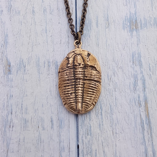 Trilobite jewelry top