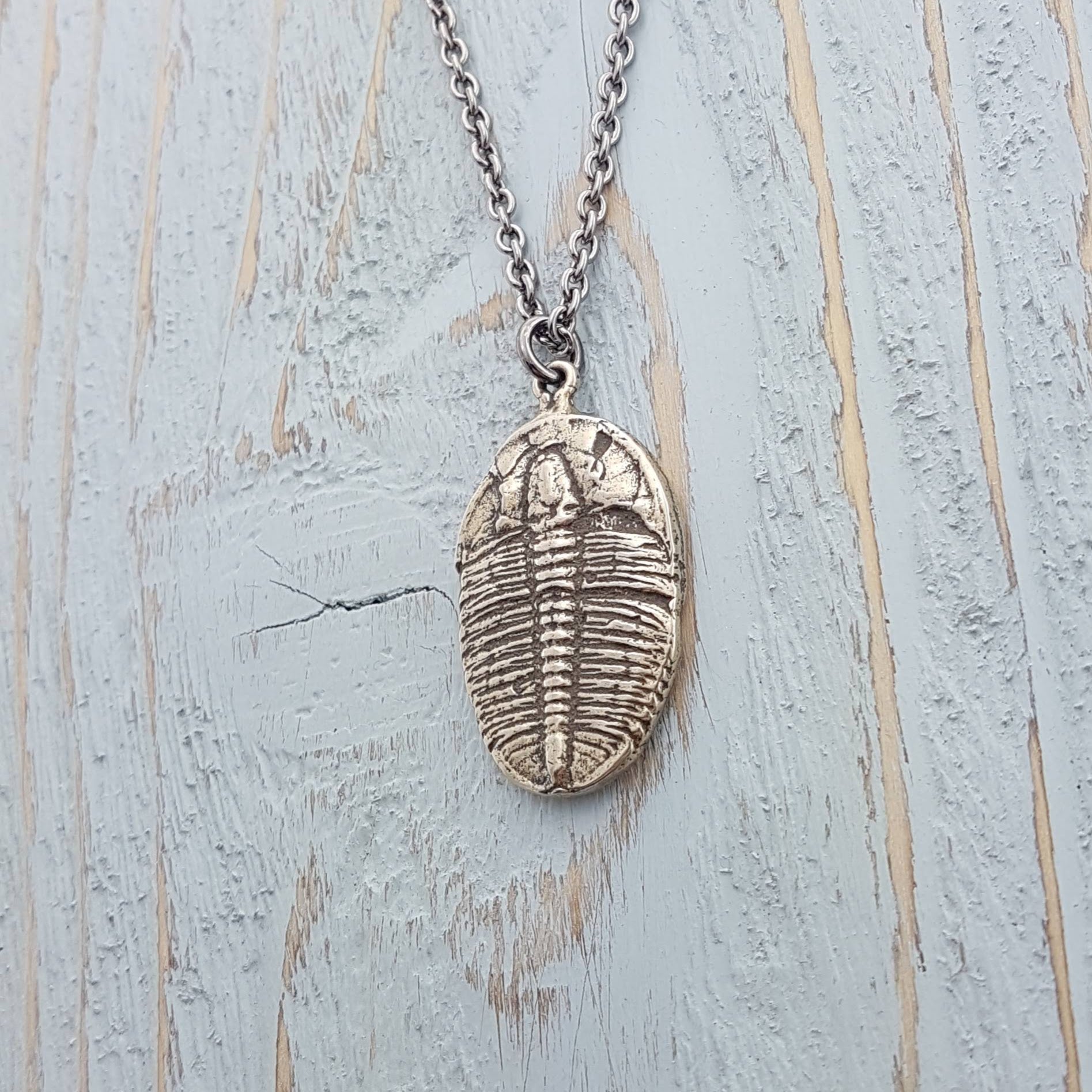 Trilobite Fossil Necklace - Gwen Delicious Jewelry Designs